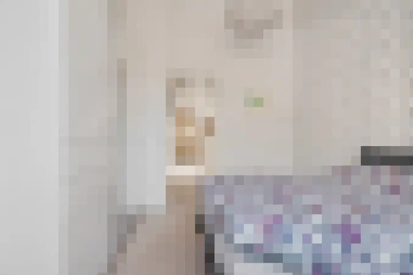 Miedemahof 3 Baarn thumbnail 14