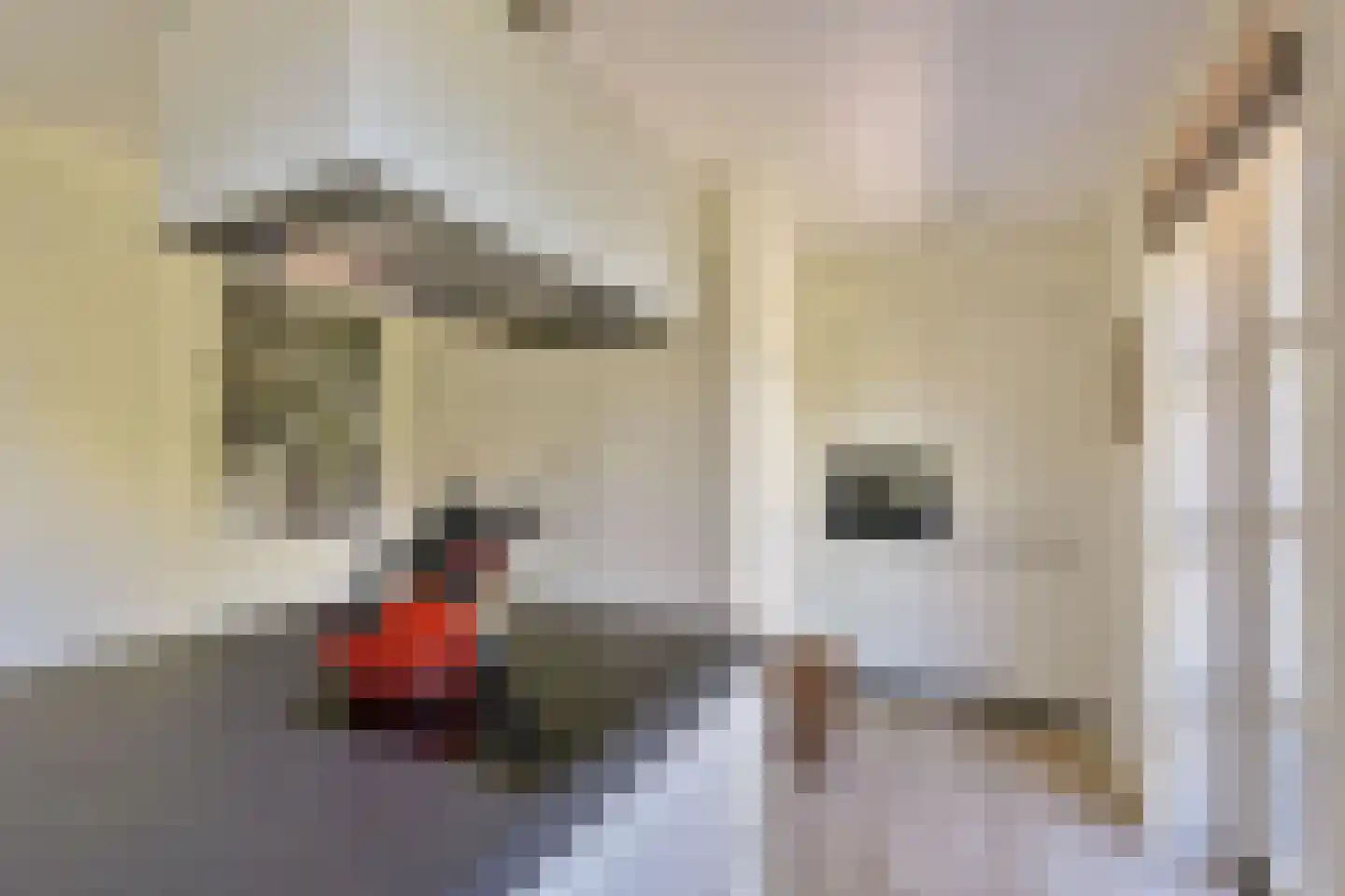 Miedemahof 4 Baarn thumbnail 16