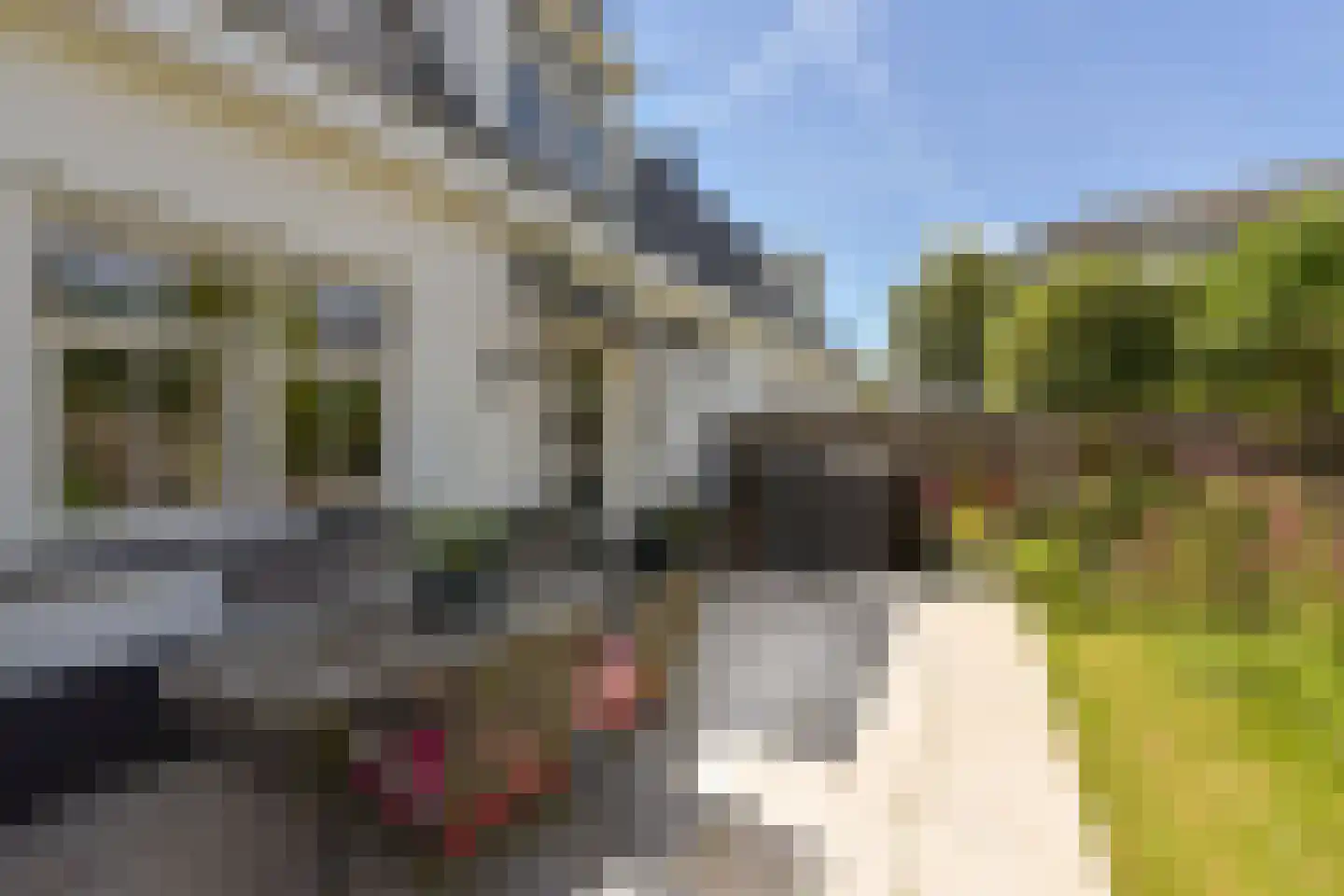 Miedemahof 4 Baarn thumbnail 23