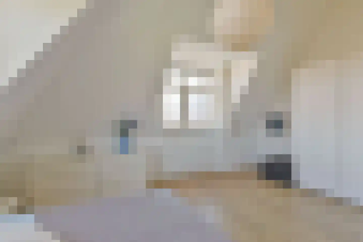Miedemahof 4 Baarn thumbnail 27