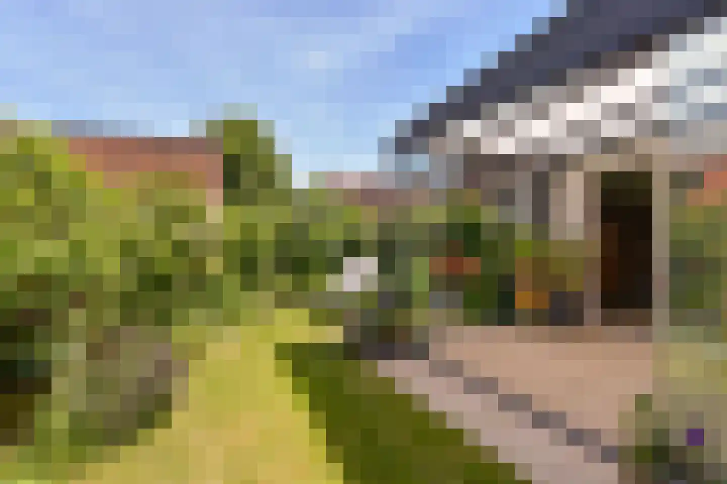 Miedemahof 4 Baarn thumbnail 5