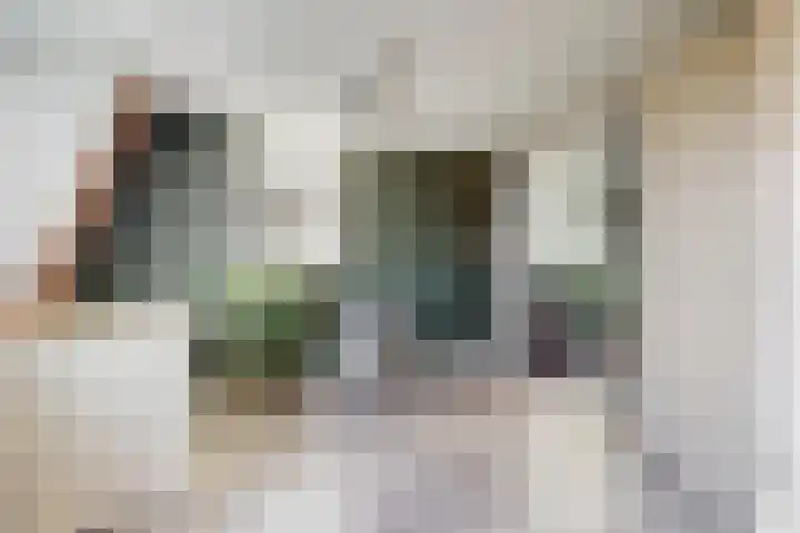 Miedemahof 9 Wijdenes thumbnail 10