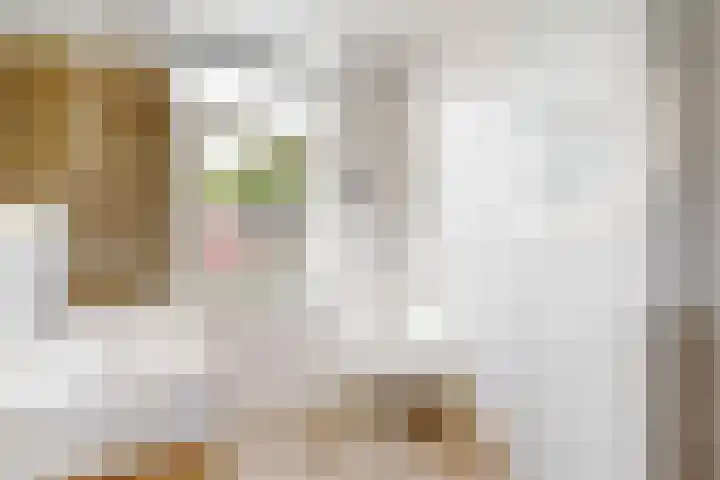 Miedemahof 9 Wijdenes thumbnail 12