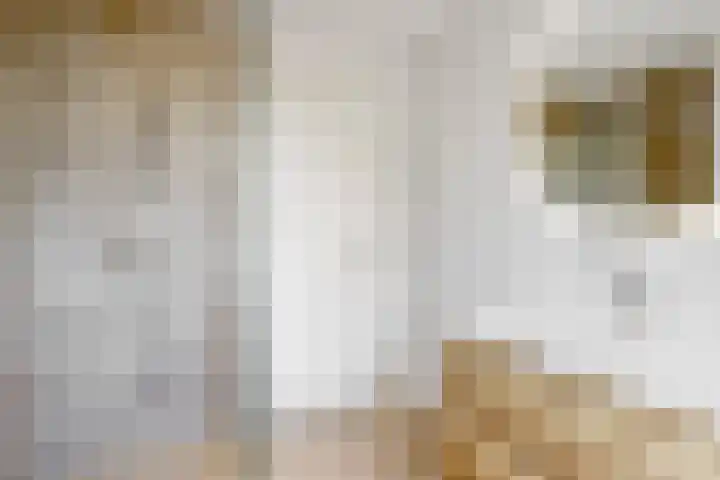 Miedemahof 9 Wijdenes thumbnail 13