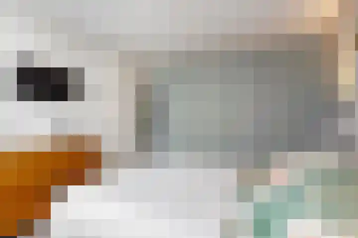 Miedemahof 9 Wijdenes thumbnail 15