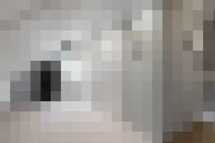 Miedemahof 9 Wijdenes thumbnail 16