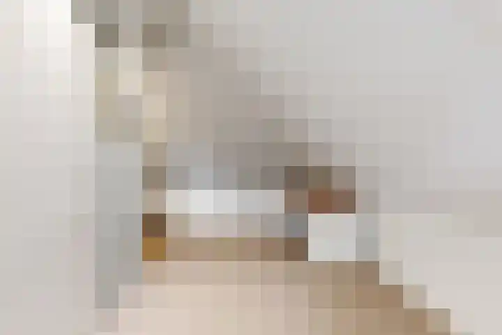 Miedemahof 9 Wijdenes thumbnail 17