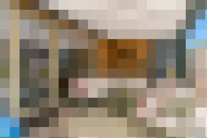 Miedemahof 9 Wijdenes thumbnail 19