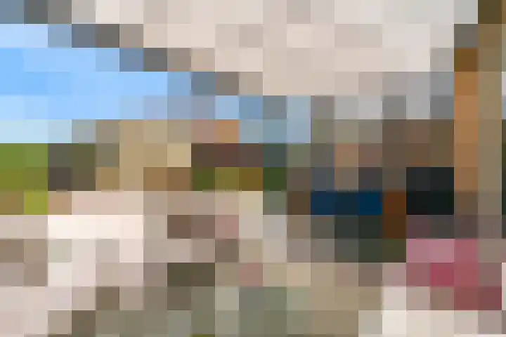 Miedemahof 9 Wijdenes thumbnail 20