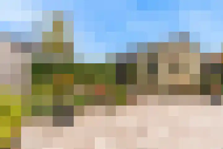 Miedemahof 9 Wijdenes thumbnail 22