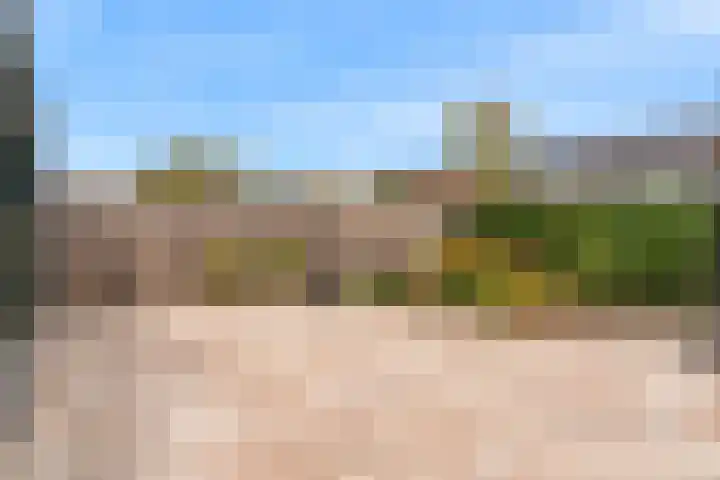 Miedemahof 9 Wijdenes thumbnail 23