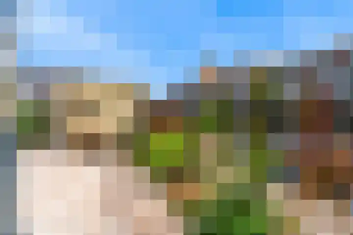 Miedemahof 9 Wijdenes thumbnail 24