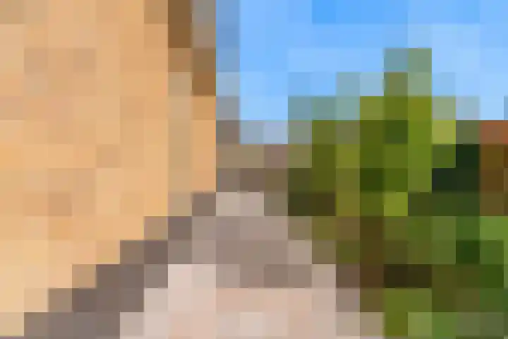 Miedemahof 9 Wijdenes thumbnail 25