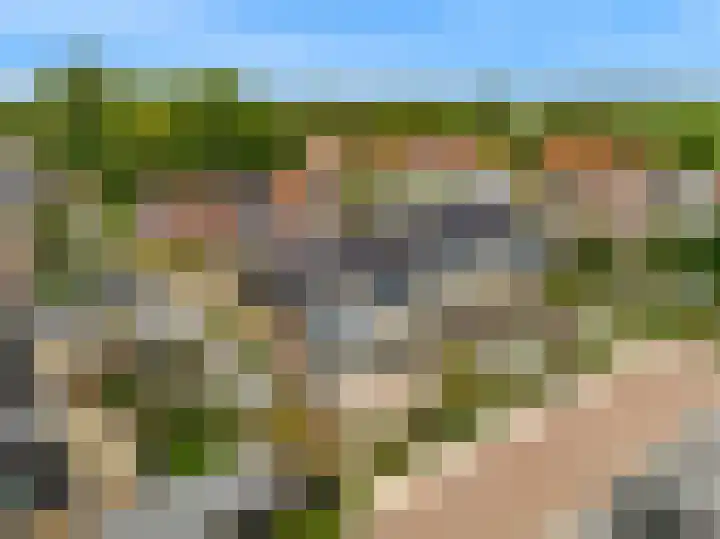 Miedemahof 9 Wijdenes thumbnail 29