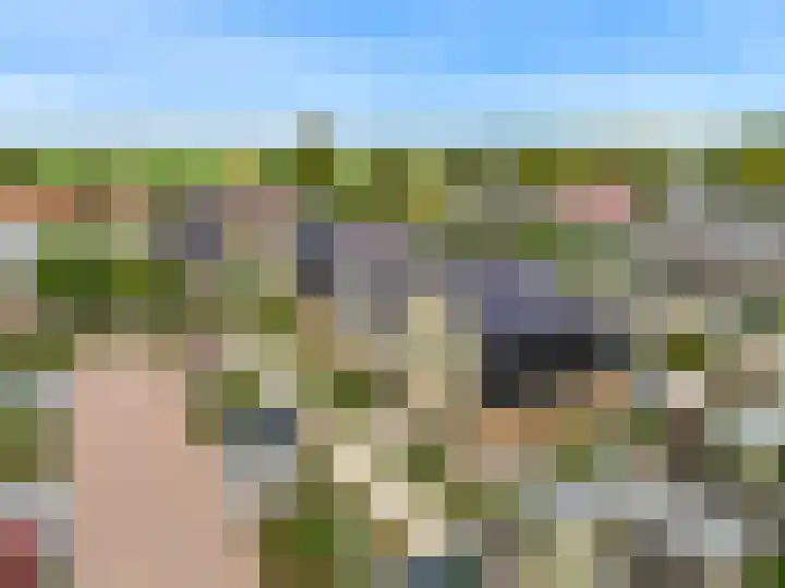 Miedemahof 9 Wijdenes thumbnail 30