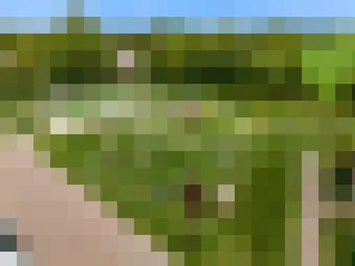 Miedemahof 9 Wijdenes thumbnail 34