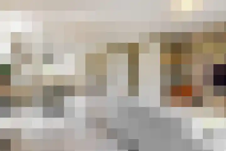 Miedemahof 9 Wijdenes thumbnail 5
