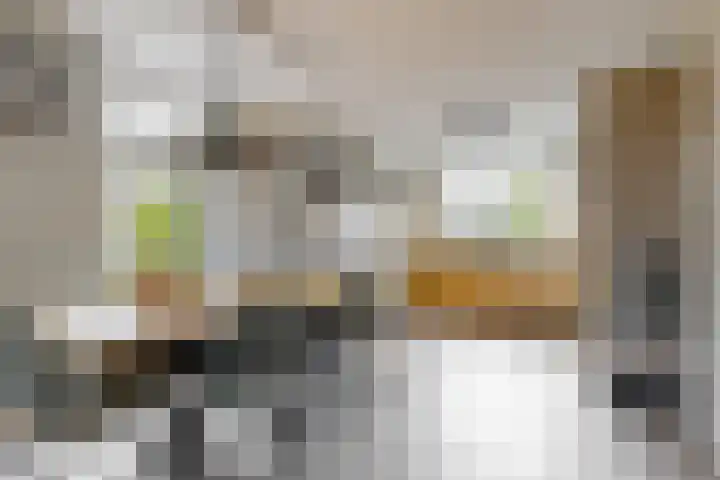Miedemahof 9 Wijdenes thumbnail 6