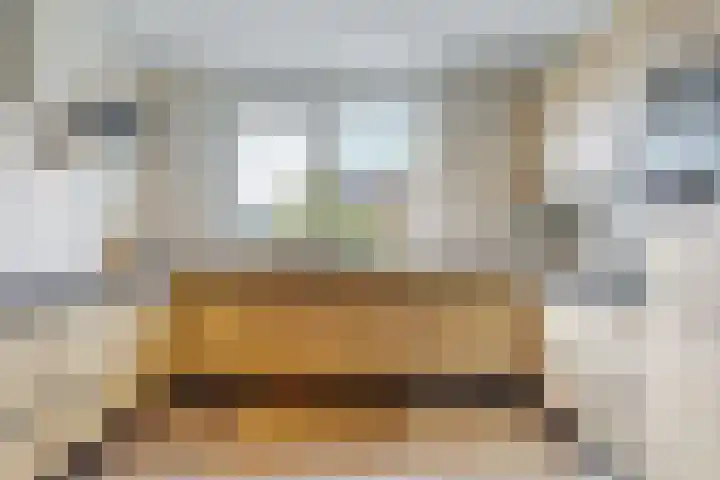 Miedemahof 9 Wijdenes thumbnail 7