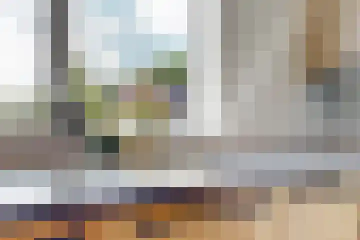 Miedemahof 9 Wijdenes thumbnail 8