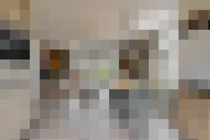 Miedemahof 9 Wijdenes thumbnail 9