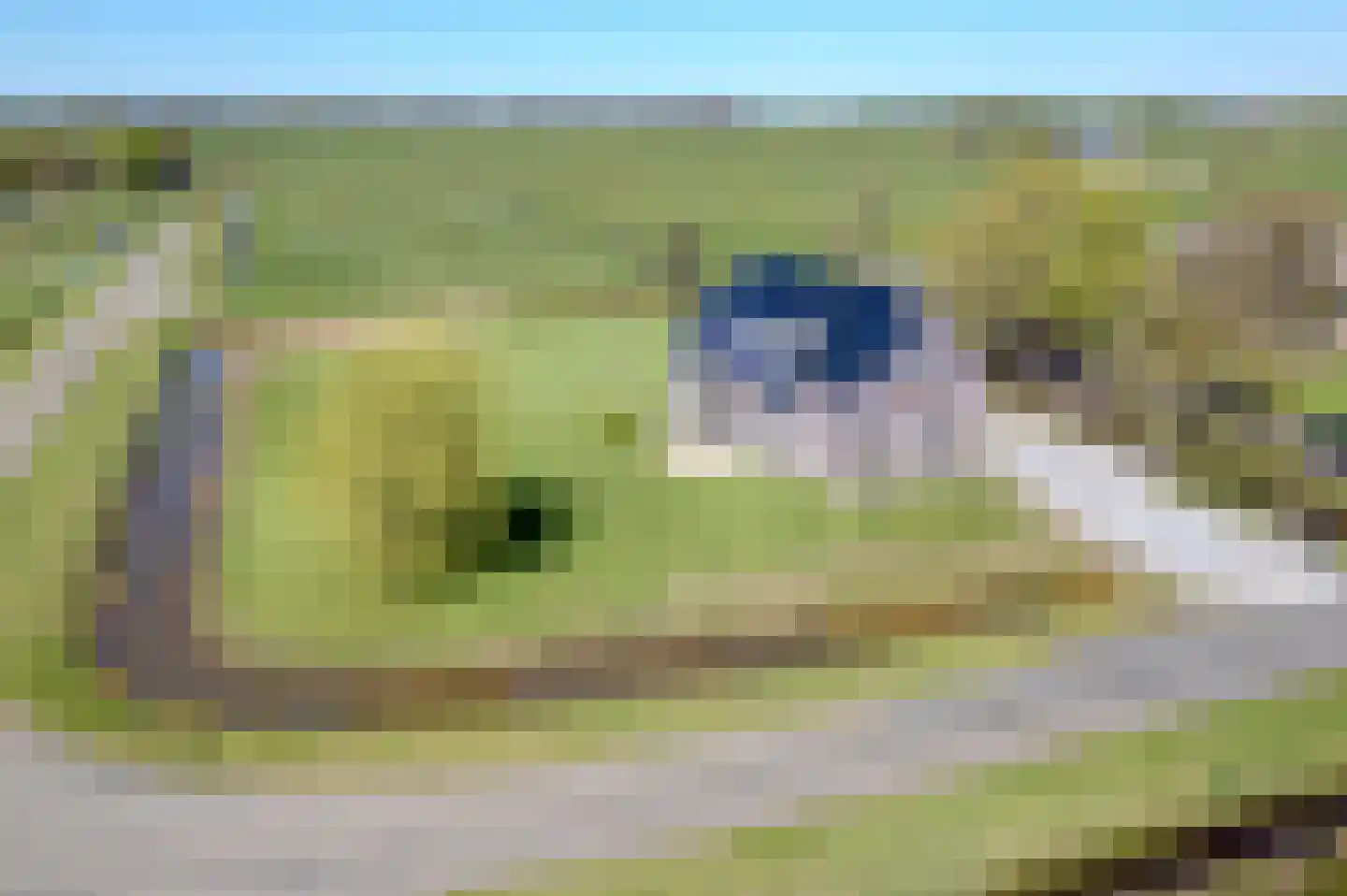 Mieden 9 dans Lutjegast