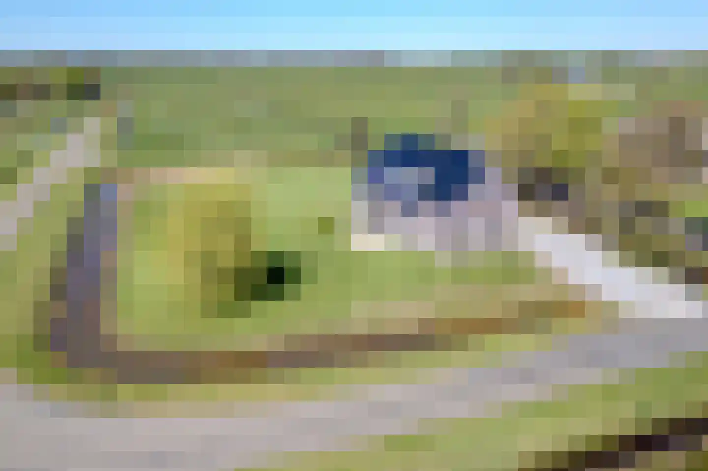 Mieden 9 Lutjegast