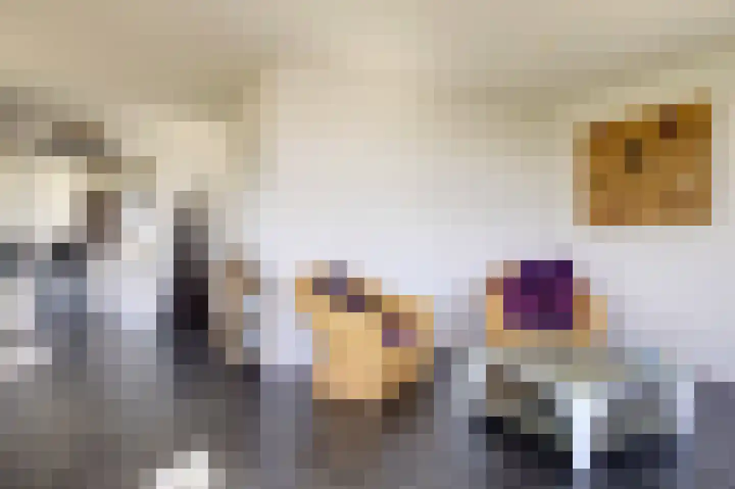 Mieden 9 Lutjegast thumbnail 11