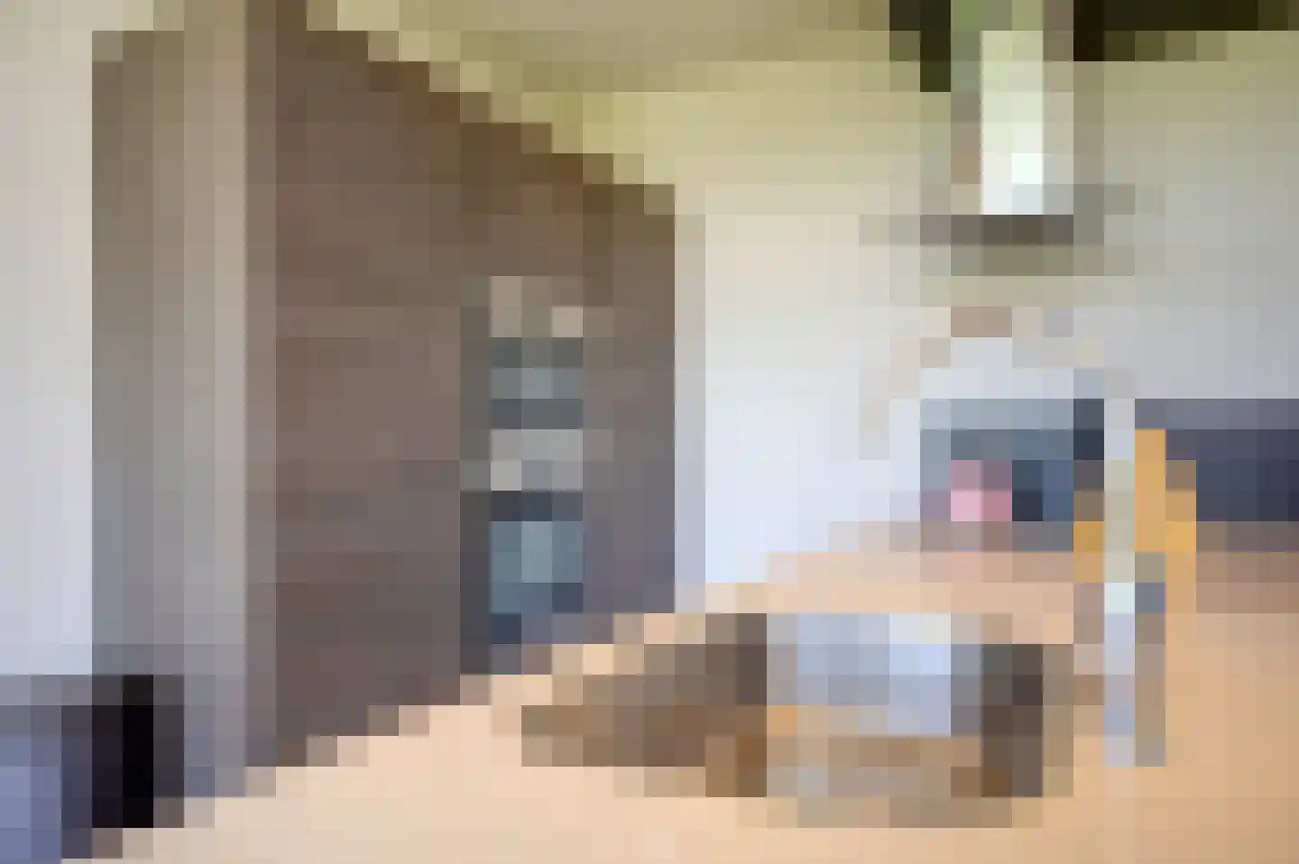 Mieden 9 Lutjegast thumbnail 15