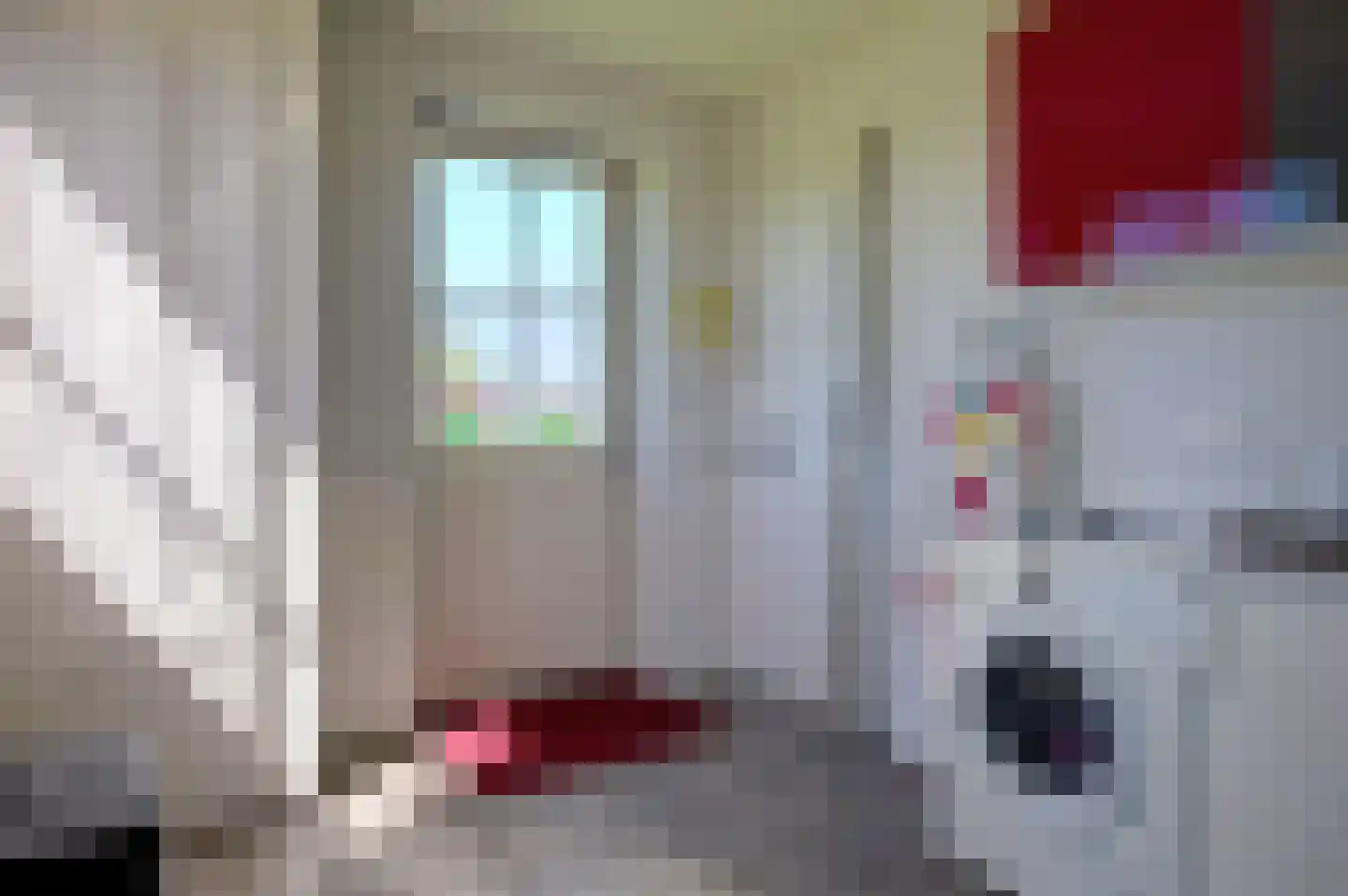 Mieden 9 Lutjegast thumbnail 18