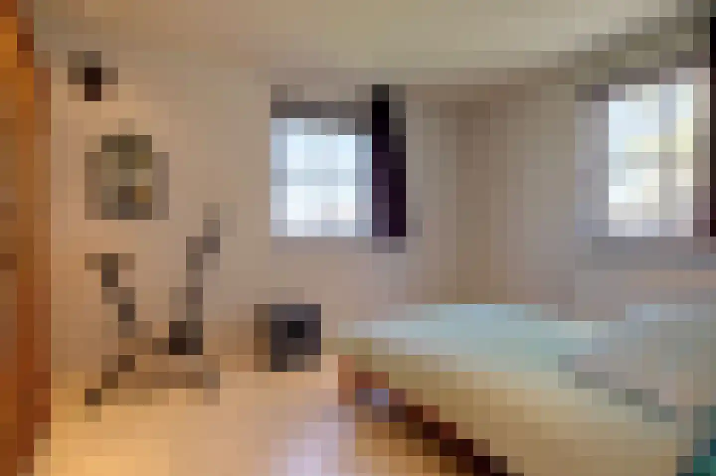 Mieden 9 Lutjegast thumbnail 20