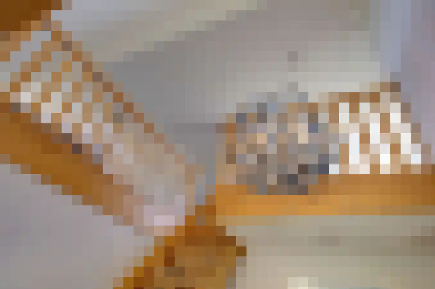 Mieden 9 Lutjegast thumbnail 26