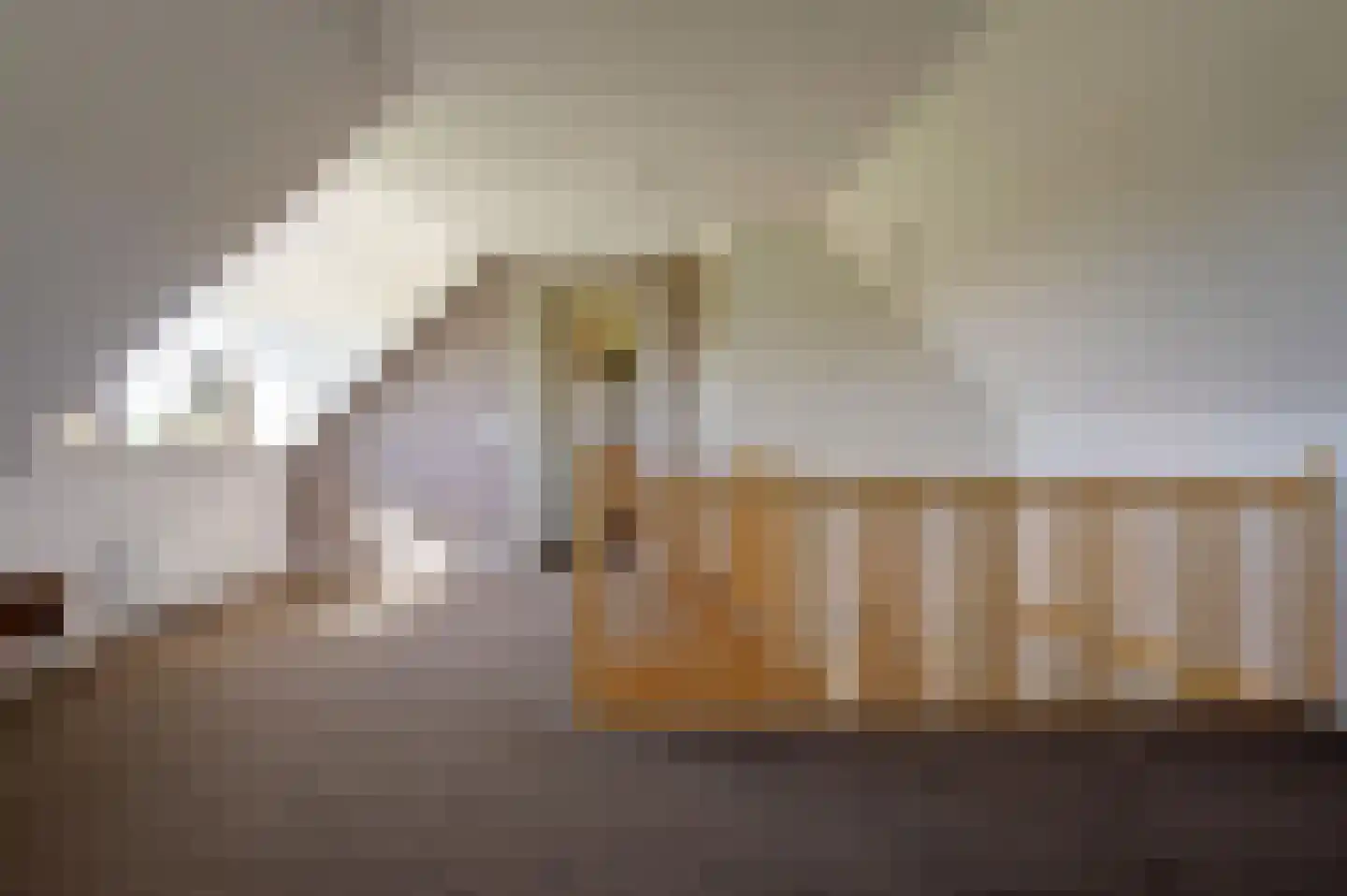 Mieden 9 Lutjegast thumbnail 27