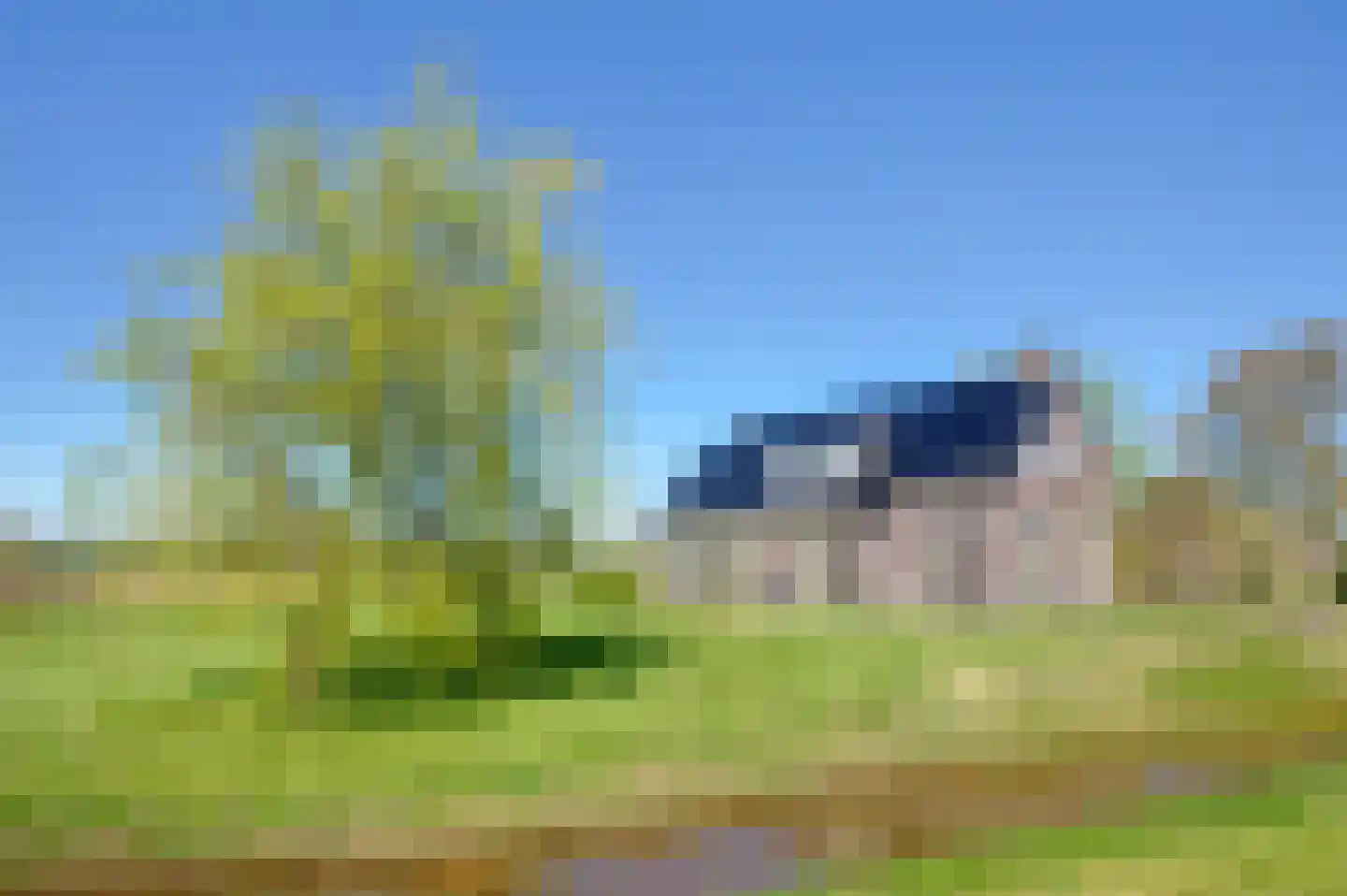 Mieden 9 Lutjegast thumbnail 35