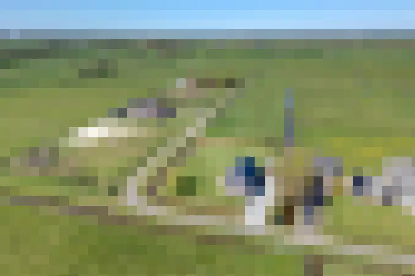 Mieden 9 Lutjegast thumbnail 36