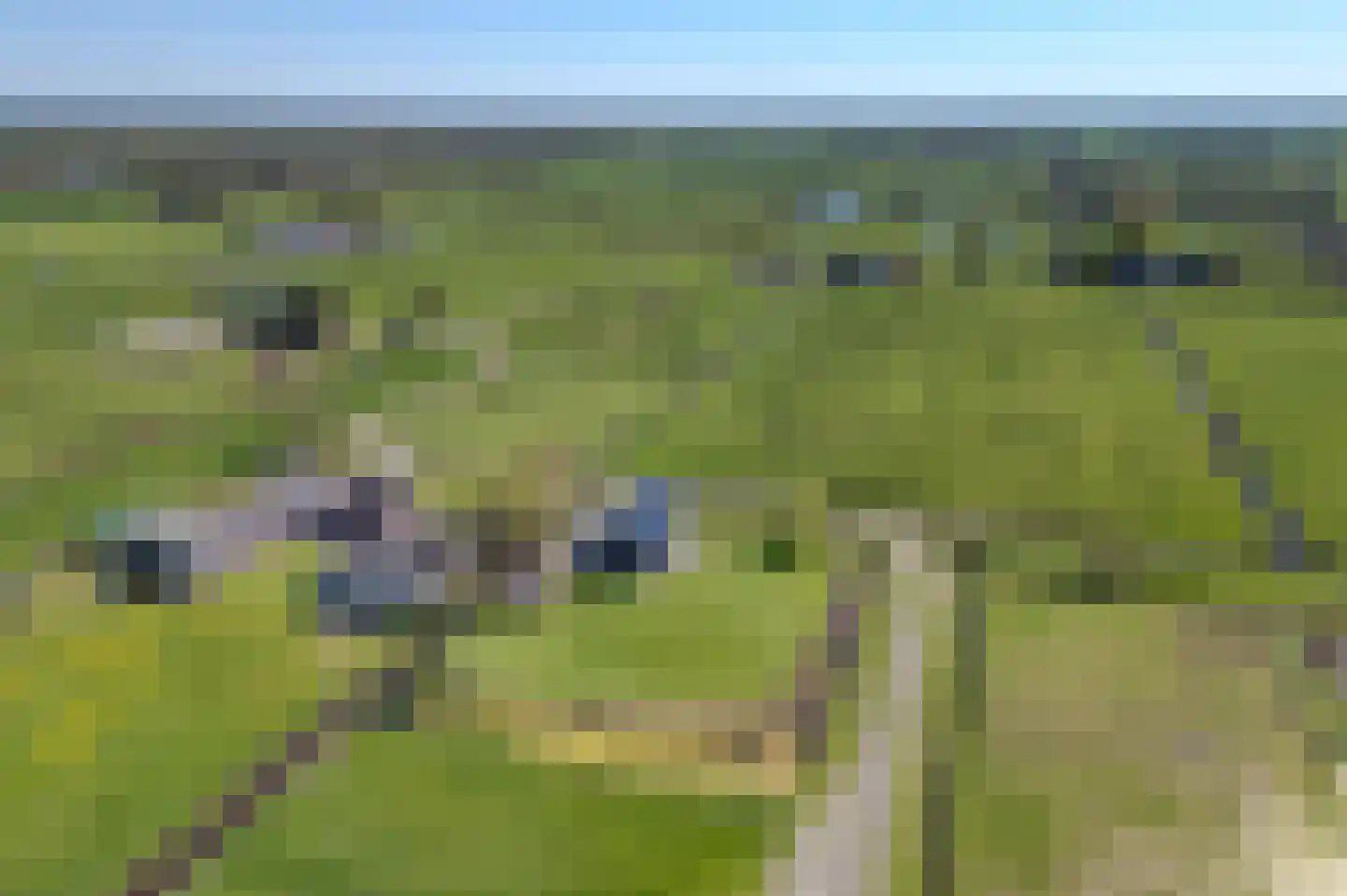 Mieden 9 Lutjegast thumbnail 37