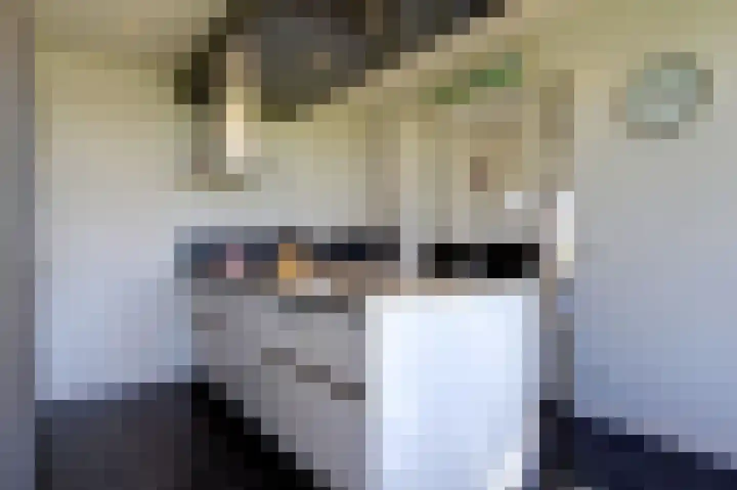 Mieden 9 Lutjegast thumbnail 4