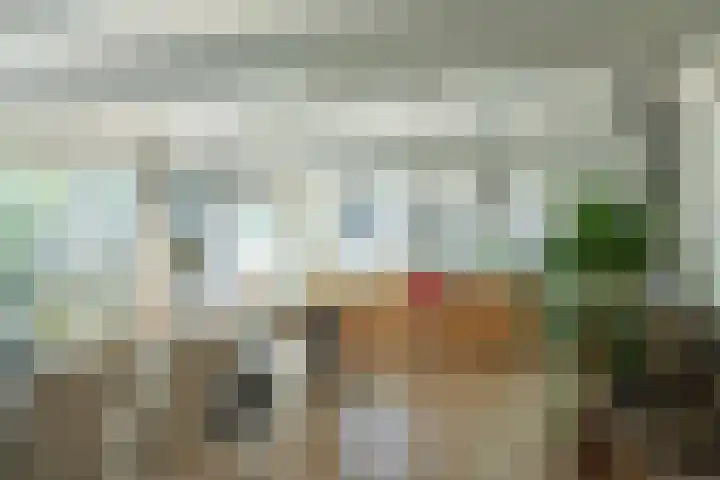 Miedleane 8 Minnertsga thumbnail 10