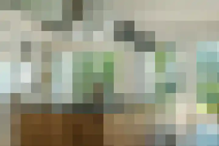 Miedleane 8 Minnertsga thumbnail 11