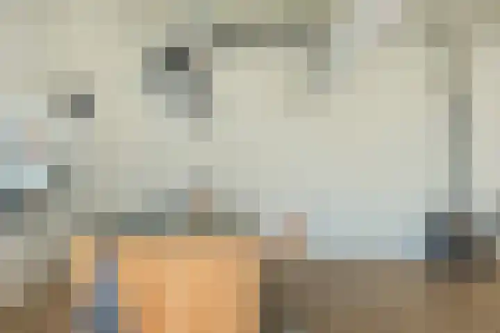 Miedleane 8 Minnertsga thumbnail 12
