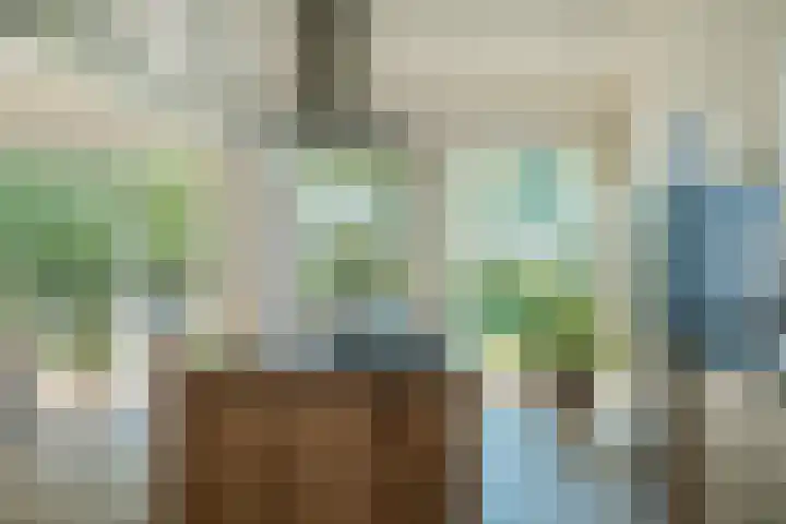 Miedleane 8 Minnertsga thumbnail 13