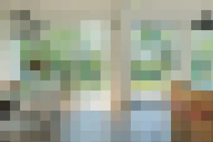 Miedleane 8 Minnertsga thumbnail 15