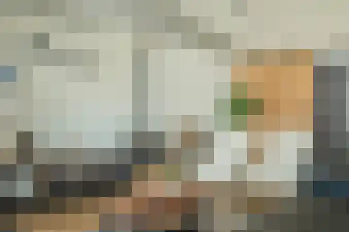 Miedleane 8 Minnertsga thumbnail 19