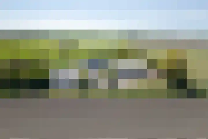 Miedleane 8 Minnertsga foto 2