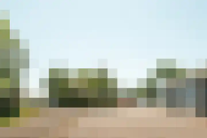 Miedleane 8 Minnertsga thumbnail 28