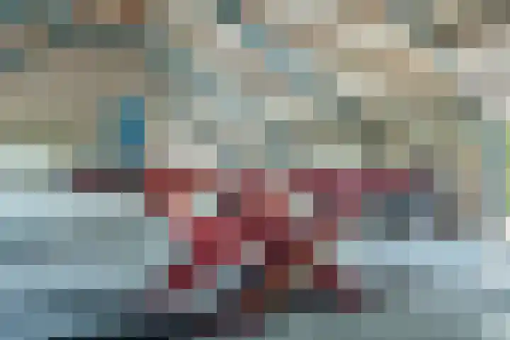Miedleane 8 Minnertsga thumbnail 33