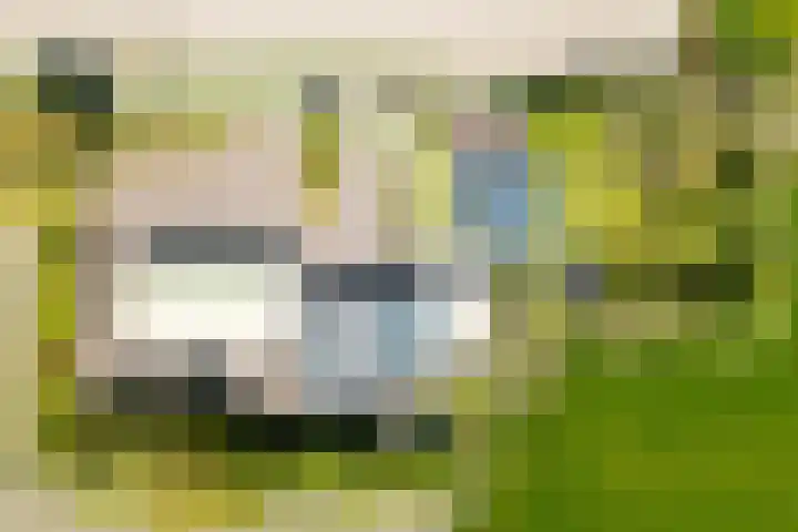 Miedleane 8 Minnertsga thumbnail 37