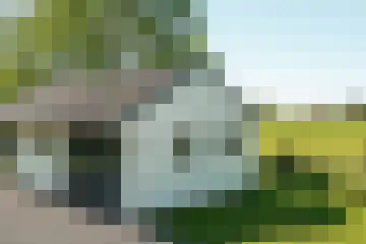 Miedleane 8 Minnertsga thumbnail 38