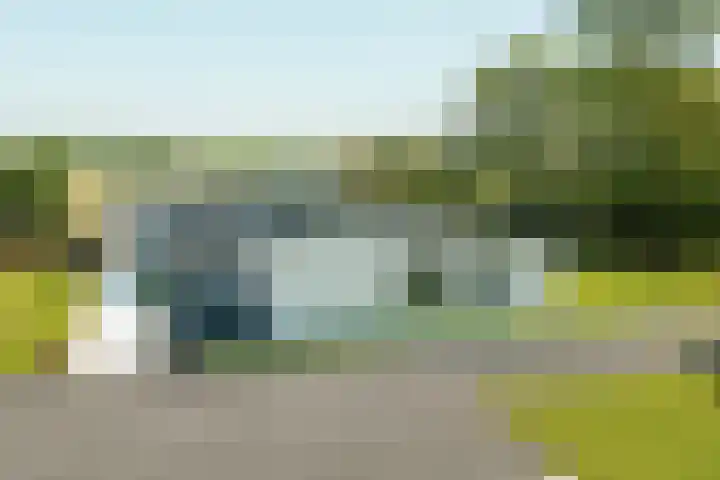 Miedleane 8 Minnertsga thumbnail 39
