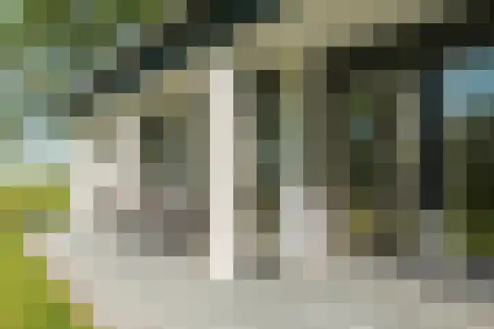 Miedleane 8 Minnertsga thumbnail 42